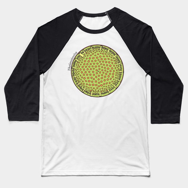 Diatom - Thalassiosira (scientific, color) Baseball T-Shirt by DiatomsATTACK